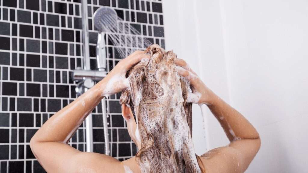Todo sobre la ducha